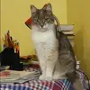 Отзыв от Арина Белова